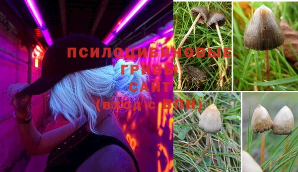 каннабис Касимов