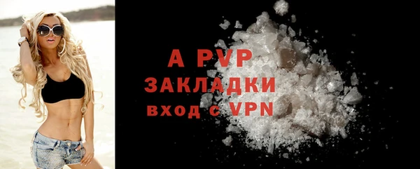 ПСИЛОЦИБИНОВЫЕ ГРИБЫ Карталы