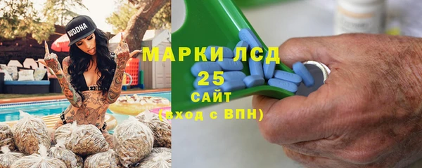 ПСИЛОЦИБИНОВЫЕ ГРИБЫ Карталы