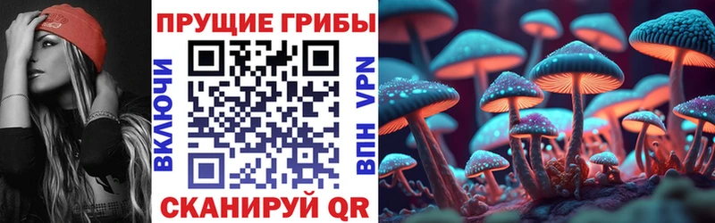 Купить где  Сафоново  Галлюциногенные грибы мухоморы 